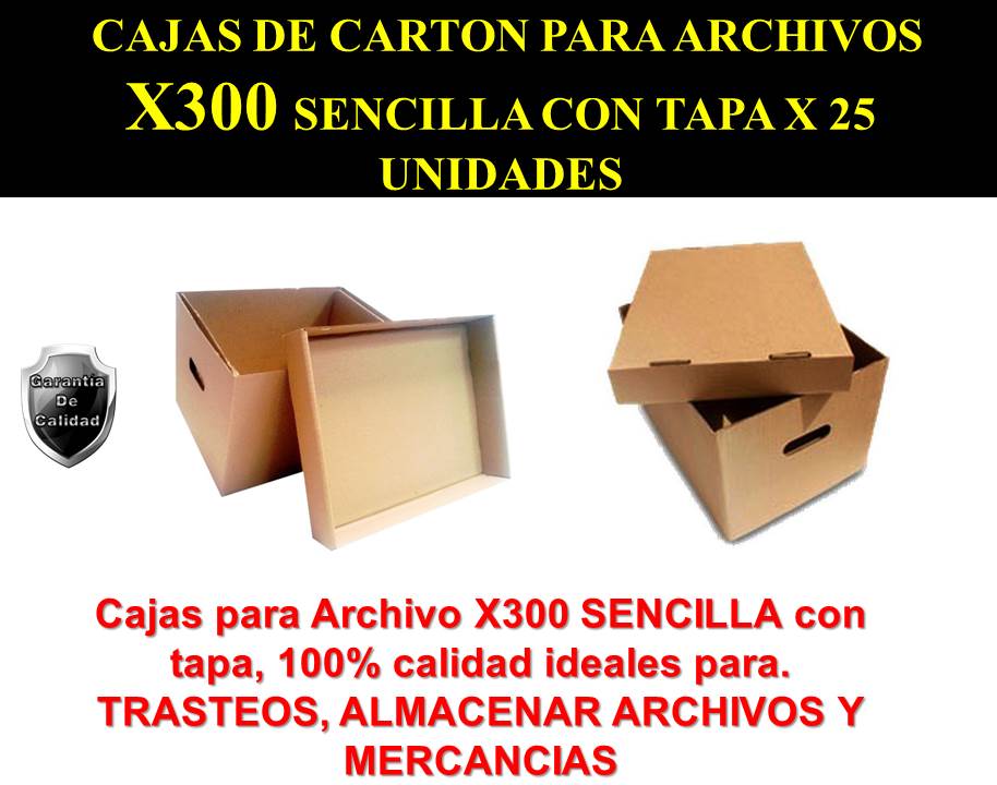 caja x300 sencilla  (1)