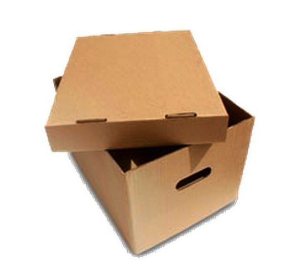 caja de carton x300