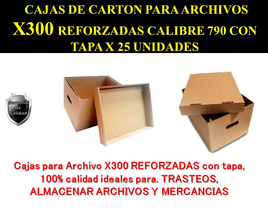 caja x300 x 25 unidades (1)
